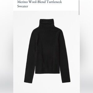 Abercrombie & Fitch Merino Wool-Blend Turtleneck